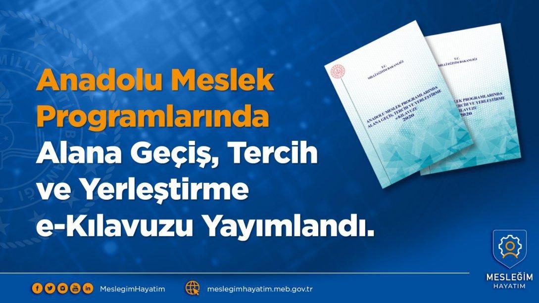 Anadolu Meslek Programlarında Alana Geçiş, Tercih ve Yerleştirme e- Kılavuzu Yayımlandı